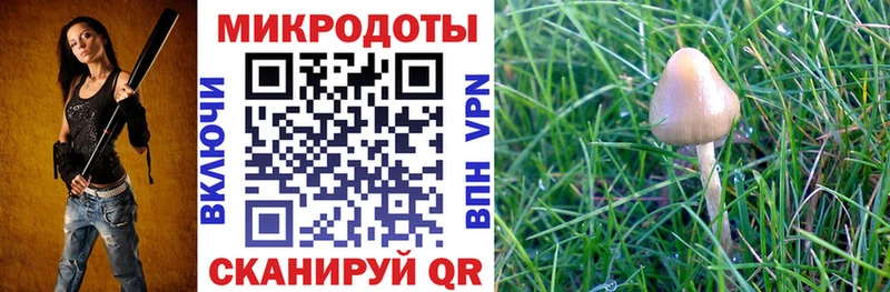 Псилоцибиновые грибы Magic Shrooms Амурск